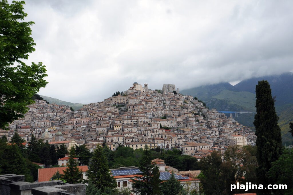 img 136290 1