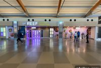 Raleigh-Durham Airport Launches Virtual Food Hall for Travelers