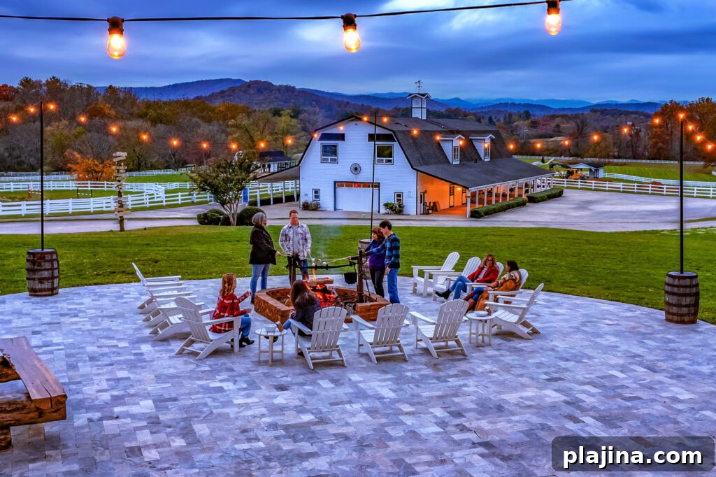 fire pit 