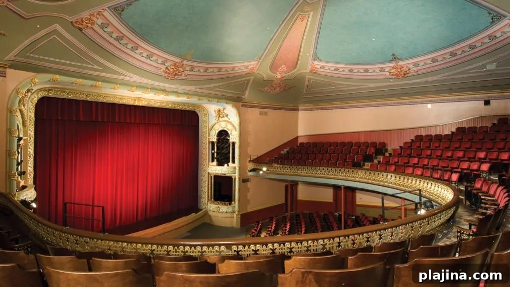 The Music Hall