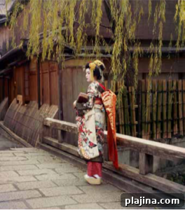 img 139547 1