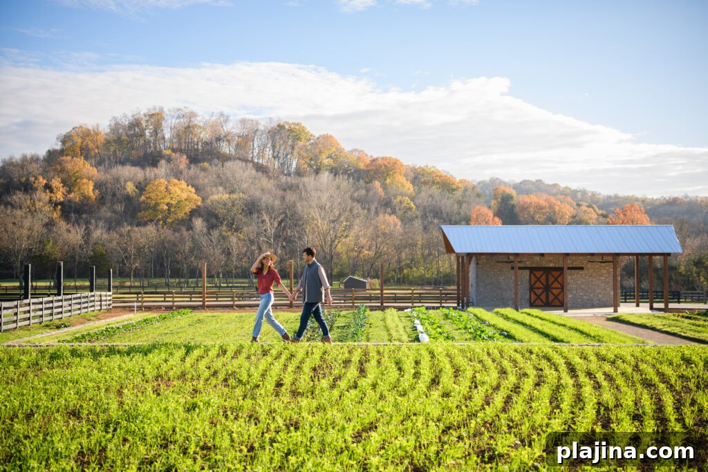 kitchen gardens