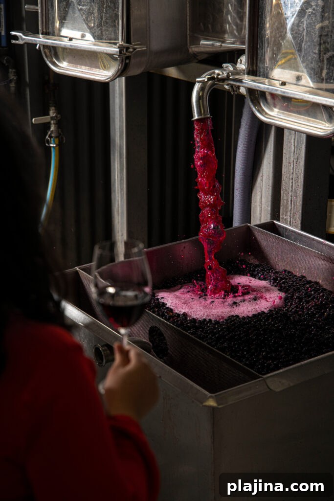 wine