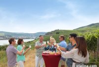 River Cruises vs Ocean Cruises: Key Differences to Help You Choose