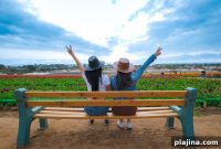 Visit The Flower Fields at Carlsbad Ranch This Spring – Plan Your Trip