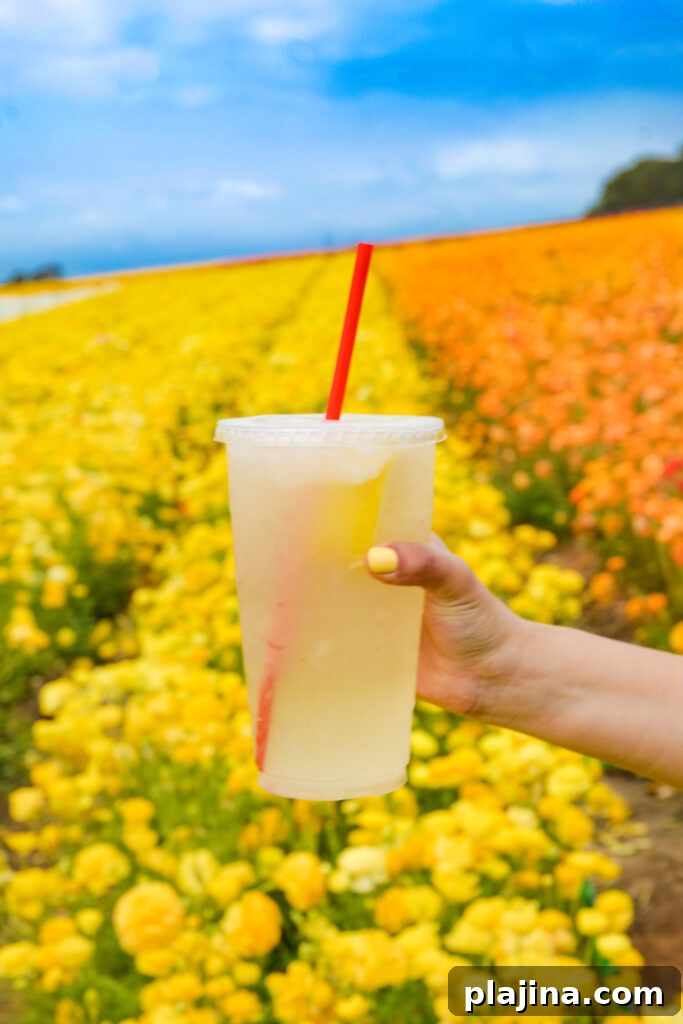 drink