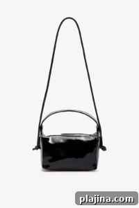 purse