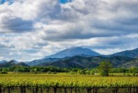 Napa Valley Events Calendar: What’s Happening This Month