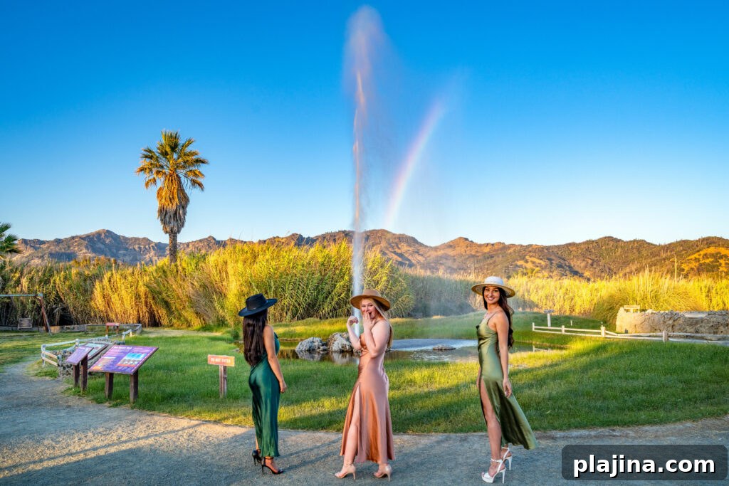 Napa Valley