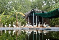 5 Asian Hotels and Resorts With Onsite Farms