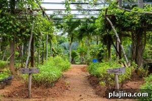 garden