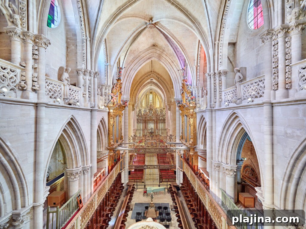 cathedral 