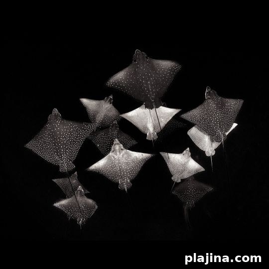 img 143980 1
