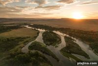 Fly Fishing Cottonwood Camp: Montana Trout Fishing Guide