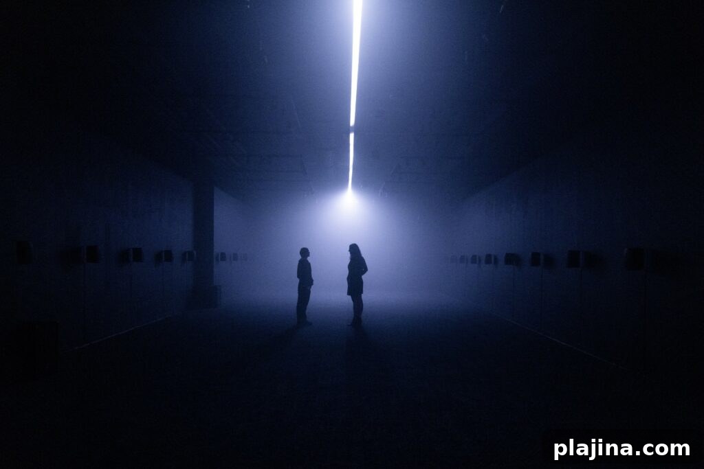 Jonsi exhibition 
