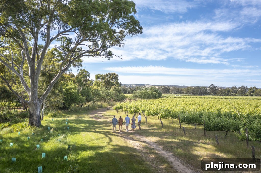 wine tour