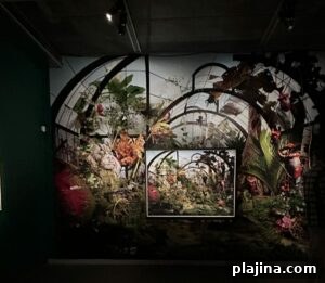img 146045 1