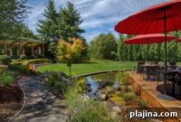 Cedarbrook Lodge Review: What to Expect Before You Book
