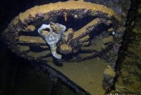 Heart-Pounding Scuba Diving Adventures Beneath the Waves
