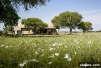 Luxury Camping in East Africa: Witness the Great Migration