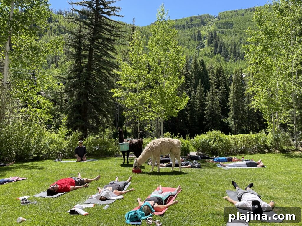 Outdoor dining at Grand Hyatt Vail
