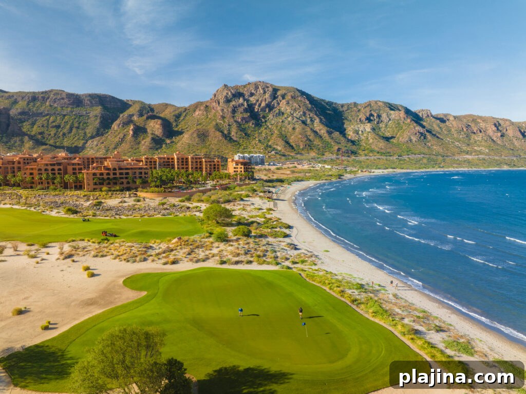 Villa del Palmar course and coastline