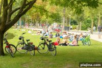 Discover Amsterdam Oud-Zuid: Charming, Laid-Back Neighborhood Guide
