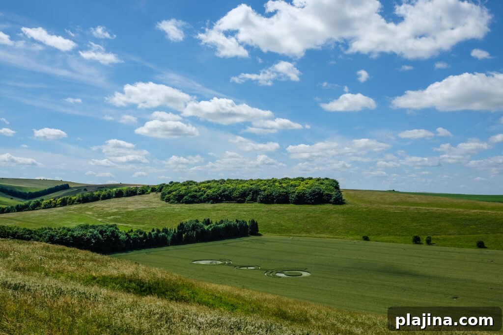 Wiltshire