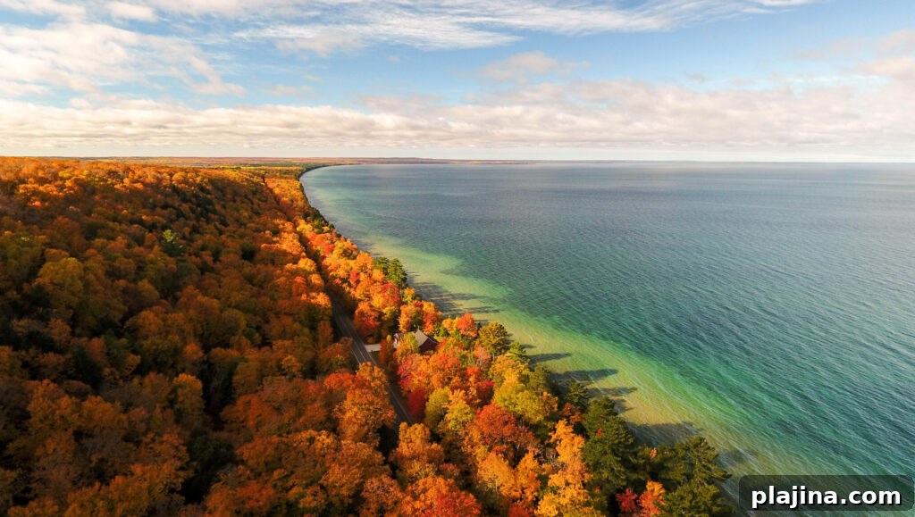 fall