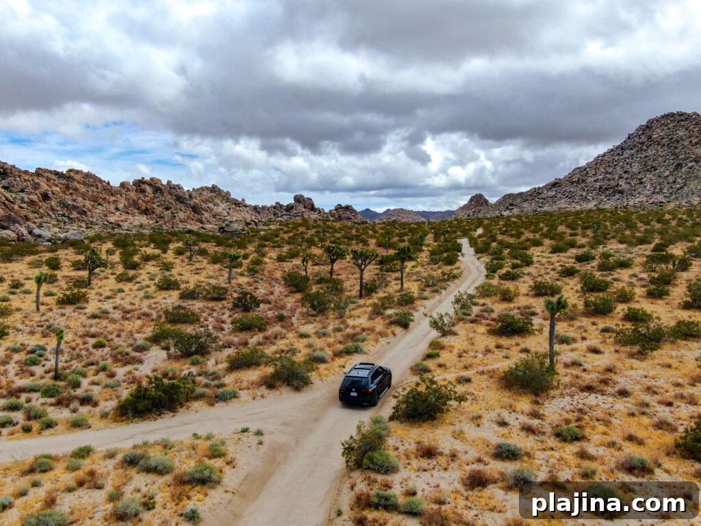Rock formations at Joshua Tree