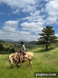img 149324 1