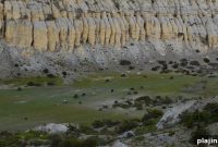 Top Destinations to Visit in 2024, According to Red Savannah