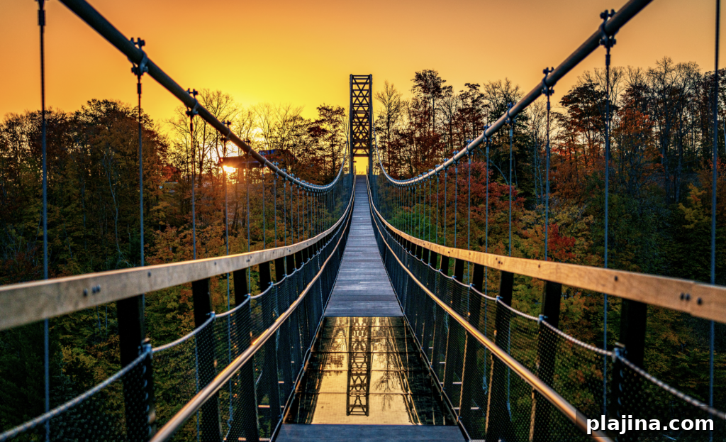 bridge
