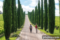 2024 Active Travel Tours: Bicycling & Walking Trips from VBT and Country Walkers