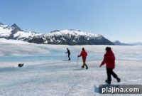 Alaska Cruises: Unforgettable Adventures for Every Age