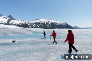 img 150791 1