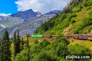 Wildlife-viewing in Alaska