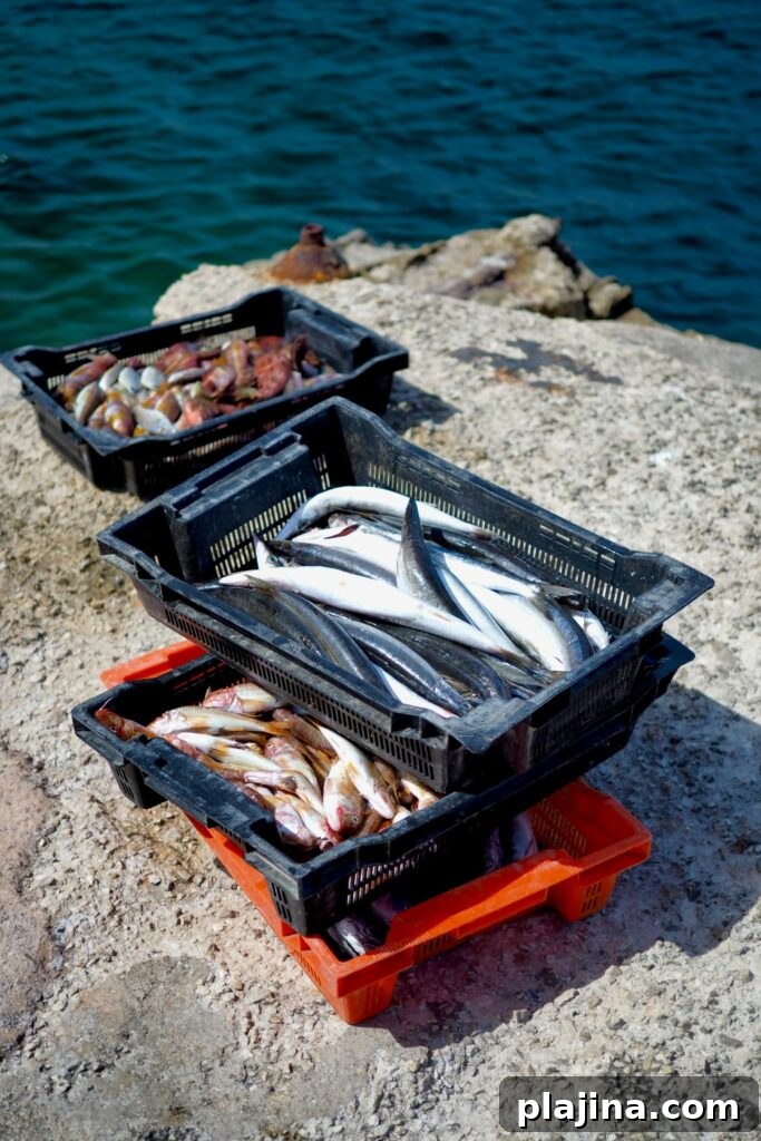fresh fish