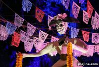 Enchanting Halloween Events at America’s Botanical Gardens