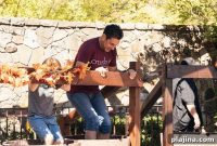 Napa Valley Grape Stomp Festival: Crush Wine Grapes Like a Local
