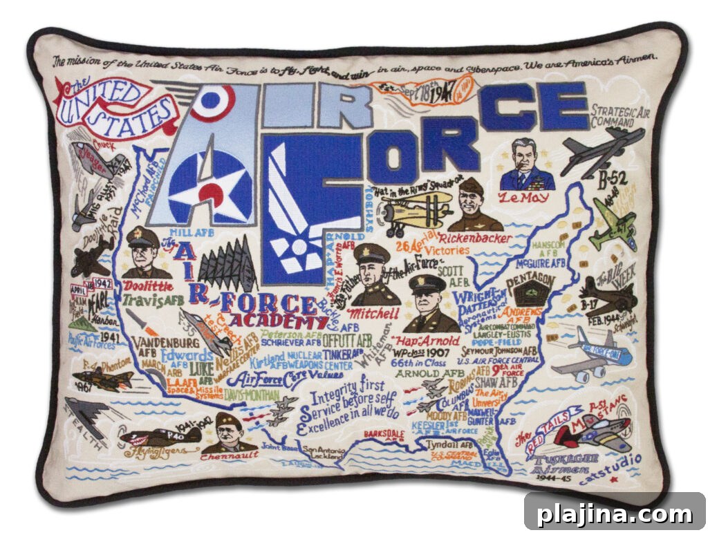 Aviation Décor Ideas: Showcase Your Love of Flying at Home or Office 4 pillow