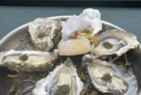 Shelbourne Executive Sous Chef Daniel Taylor Shares Oyster Tasting Tips