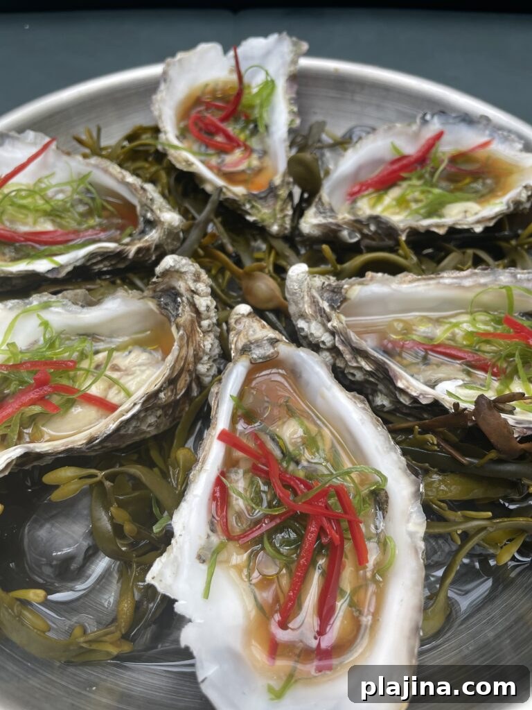 oysters