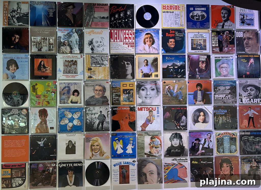 Musee Pop