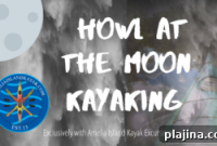 Howl at the Moon Kayak Tour — Amelia Island Night Paddle