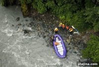 Heli-Tour Alaska: Wildlife, Dogsledding, Skiing & Scenic Views