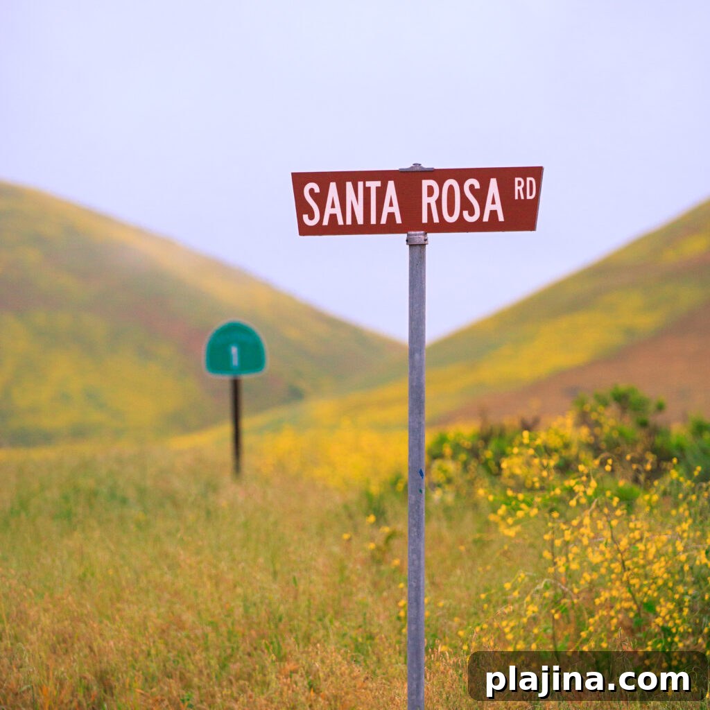 Santa Rosa road