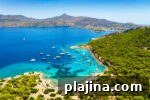 Aegina