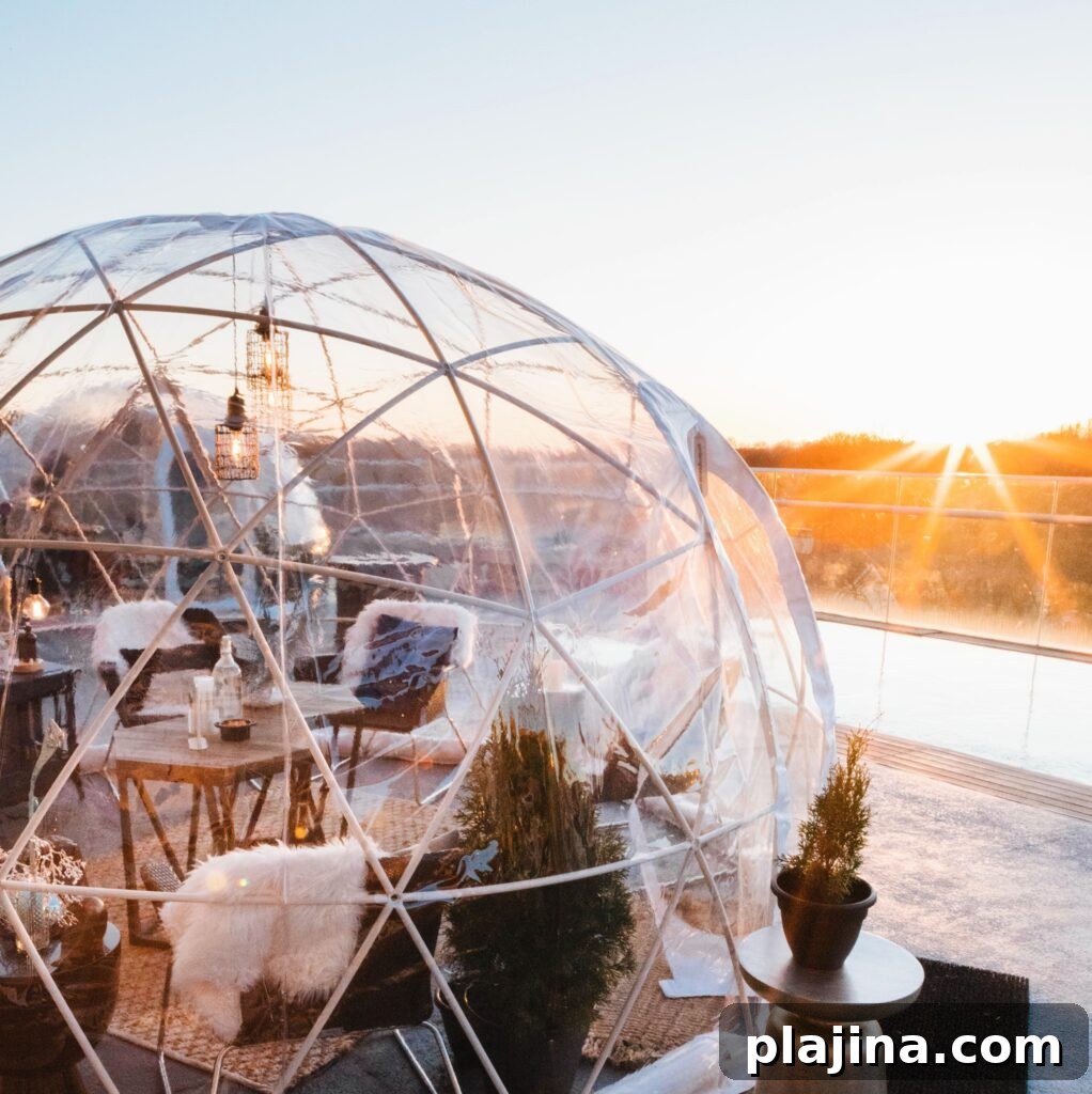 901 Igloos