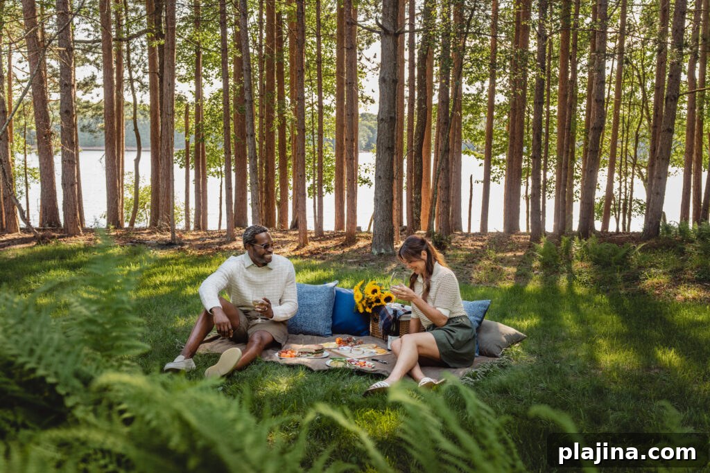 picnic